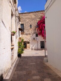 VILLA PETROSA